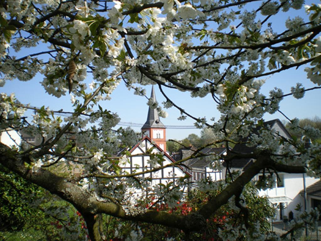 Maisonette Im Hof Krupp Bruchhausen  Buitenkant foto